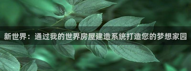 富联娱乐官方网站下载：新世界：通过我的世界房屋建造系统打造您的梦想家园