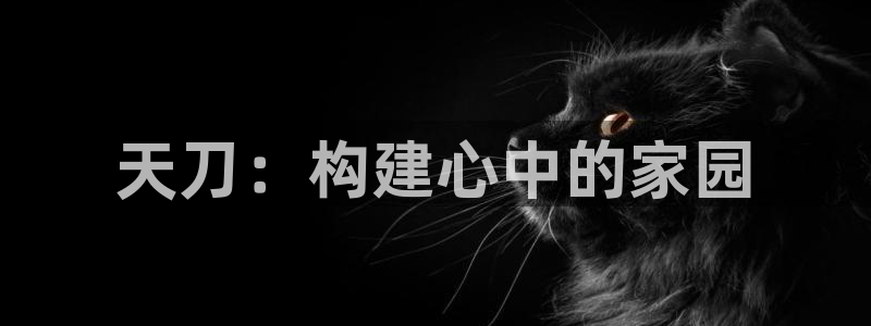 富联娱乐公司简介：天刀：构建心中的家园