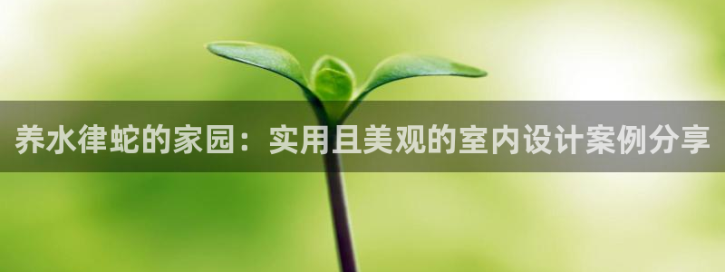 富联娱乐发展历程简述：养水律蛇的家园：实用且美观的室内设计案例分享