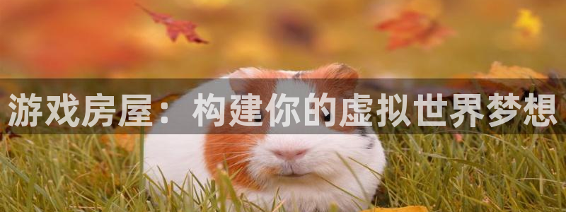 富联娱乐开户条件