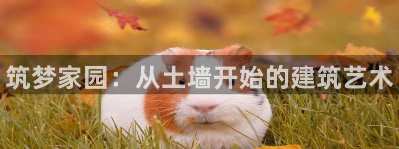 富联娱乐首页登录不上：筑梦家园：从土墙开始的建筑艺术