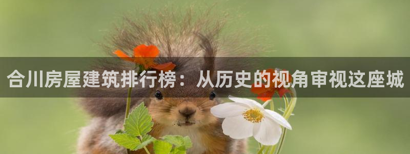 富联娱乐受究7276O：合川房屋建筑排行榜：从历史的视角审视这座城