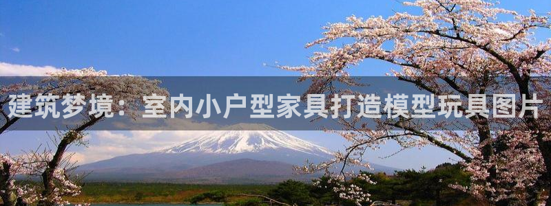 富联娱乐信誉怎么样：建筑梦境：室内小户型家具打造模型玩具图片