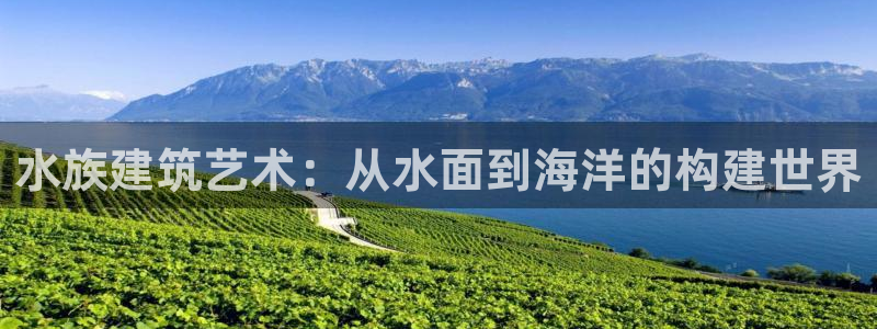 富联2娱乐注册地址：水族建筑艺术：从水面到海洋的构建世界