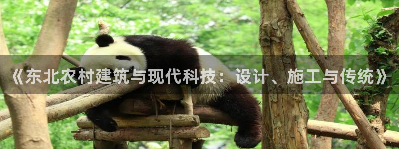 富联2娱乐元哥微博：《东北农村建筑与现代科技：设计、施工与传统》
