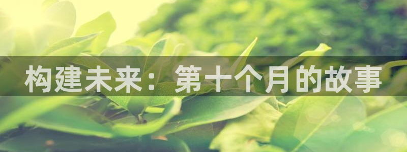 富联娱乐平台登录不上去：构建未来：第十个月的故事
