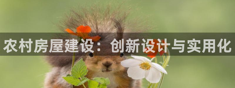 富联娱乐平台官网首页：农村房屋建设：创新设计与实用化