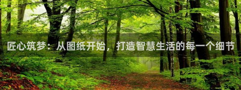 富联娱乐代理是谁做的啊：匠心筑梦：从图纸开始，打造智慧生活的每一个细节