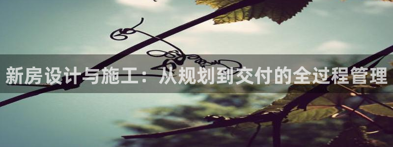 富联娱乐女团是谁的公司：新房设计与施工：从规划到交付的全过程管理