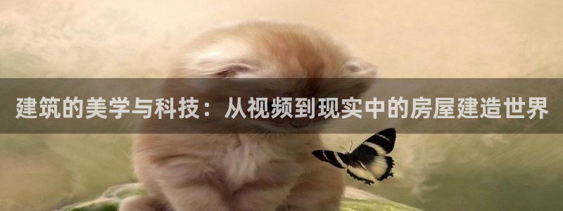 富联娱乐注册发判官333OO：建筑的美学与科技：从视频到现实中的房屋建造世界